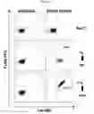Fig. 07 - COMPOSITIONS AND METHODS FOR IDENTIFYING ENZYME MODULATORS OR INHIBITORS