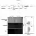 Fig. 10 - COMPOSITIONS AND METHODS FOR IDENTIFYING ENZYME MODULATORS OR INHIBITORS