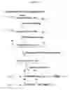 Fig. 13 - COMPOSITIONS AND METHODS FOR IDENTIFYING ENZYME MODULATORS OR INHIBITORS