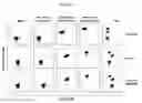 Fig. 17 - COMPOSITIONS AND METHODS FOR IDENTIFYING ENZYME MODULATORS OR INHIBITORS