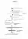 Fig. 02 - Method for designing probe in DNA microarray, and DNA microarray provided with probe designed thereby
