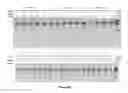 Fig. 08 - Composition and method for stabilizing nucleic acids in biological samples
