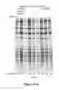 Fig. 13 - Composition and method for stabilizing nucleic acids in biological samples