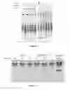 Fig. 18 - Composition and method for stabilizing nucleic acids in biological samples