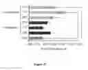 Fig. 24 - Composition and method for stabilizing nucleic acids in biological samples