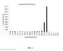Fig. 06 - Methods for DNA Preparation for Multiplex High Throughput Targeted Sequencing