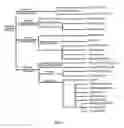 Fig. 08 - Methods for DNA Preparation for Multiplex High Throughput Targeted Sequencing