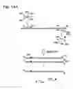 Fig. 10 - Amplification reporter with base-pairing oligomers