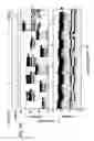 Fig. 12 - Amplification reporter with base-pairing oligomers
