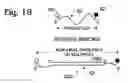 Fig. 14 - Amplification reporter with base-pairing oligomers