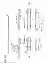 Fig. 16 - Amplification reporter with base-pairing oligomers