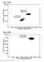 Fig. 24 - Amplification reporter with base-pairing oligomers