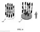 Fig. 08 - DNA sequencing and processing