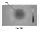 Fig. 16 - DNA sequencing and processing