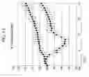 Fig. 25 - METHODS OF USING SINGLE NUCLEOTIDE POLYMORPHISMS IN THE TL1A GENE TO PREDICT OR DIAGNOSE INFLAMMATORY BOWEL DISEASE