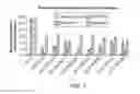 Fig. 28 - LONG NON-CODING RNA AS A DIAGNOSTIC AND THERAPEUTIC AGENT