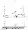 Fig. 06 - Biomarkers for the identification of prostate cancer and methods of use
