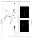 Fig. 19 - BIOMARKERS AND METHODS OF USE THEREOF