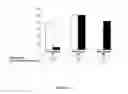 Fig. 14 - ANALYTICAL METHODS FOR CELL FREE NUCLEIC ACIDS AND APPLICATIONS