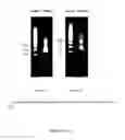 Fig. 18 - ANALYTICAL METHODS FOR CELL FREE NUCLEIC ACIDS AND APPLICATIONS