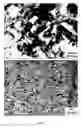 Fig. 28 - Edge formability in metallic alloys