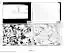 Fig. 49 - Edge formability in metallic alloys