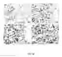 Fig. 89 - Edge formability in metallic alloys