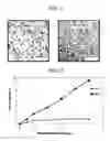 Fig. 02 - AUSTENITIC STAINLESS STEEL AND METHOD FOR PRODUCING THE SAME