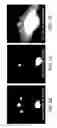 Fig. 04 - OFF-AXIS MAGNETRON SPUTTERING WITH REAL-TIME REFLECTION HIGH ENERGY ELECTRON DIFFRACTION ANALYSIS