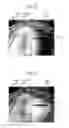 Fig. 15 - PLASMA PROCESSING APPARATUS AND FILM DEPOSITION METHOD