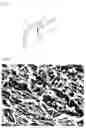 Fig. 02 - ETCHING AGENT AND REPLENISHING LIQUID