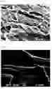 Fig. 03 - ETCHING AGENT AND REPLENISHING LIQUID