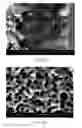 Fig. 04 - Electrolyte for surface treatment of metal implant and method for surface treatment of metal implant using said electrolyte