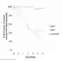 Fig. 07 - THERMALLY AND DIMENSIONALLY STABILIZED ELECTROSPUN COMPOSITIONS AND METHODS OF MAKING SAME
