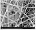 Fig. 01 - Time-dependent synthetic biological barrier material