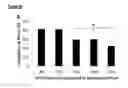Fig. 04 - Time-dependent synthetic biological barrier material