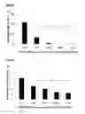 Fig. 06 - Time-dependent synthetic biological barrier material