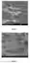 Fig. 03 - Cellulose microfibrils