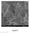 Fig. 04 - Cellulose microfibrils
