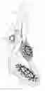 Fig. 02 - Combination showerhead with press button switching