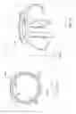 Fig. 37 - Adjustable height shower apparatus
