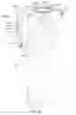 Fig. 47 - Adjustable height shower apparatus
