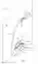 Fig. 02 - URINAL CLOG REMOVAL DEVICE
