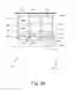 Fig. 05 - AUTOMATED VEHICLE PARKING SYSTEM