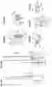 Fig. 07 - WINDOW REGULATOR