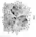 Fig. 09 - Drilling systems and hybrid drill bits for drilling in a subterranean formation and methods relating thereto