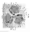 Fig. 14 - Drilling systems and hybrid drill bits for drilling in a subterranean formation and methods relating thereto