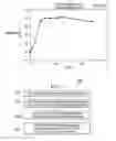 Fig. 05 - Downhole in-situ heat generation to remove filtercake