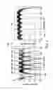 Fig. 05 - Frequency hopping sounder signal for channel mapping and equalizer initialization