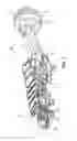 Fig. 02 - Guide shoe for mining machine